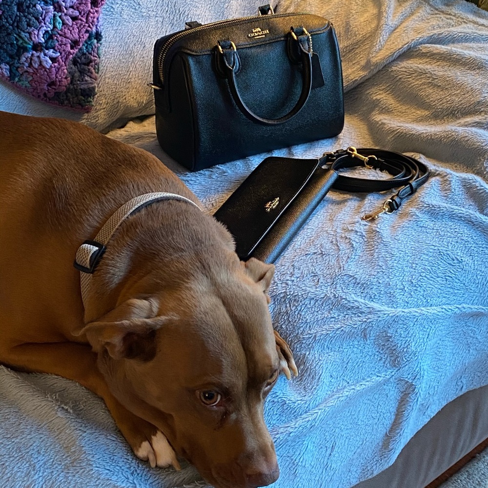 Coach purse